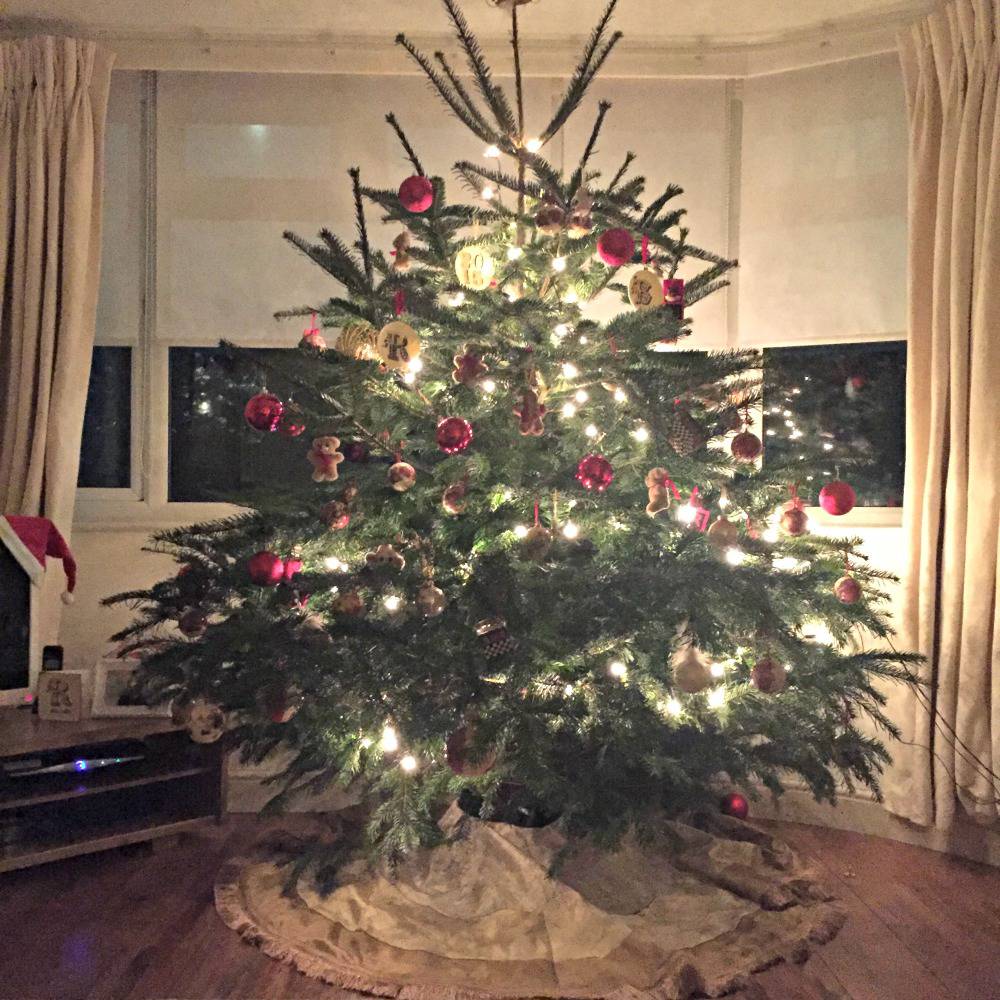 Pines-and-Needles-Christmas-Tree-delivered-to-your-door