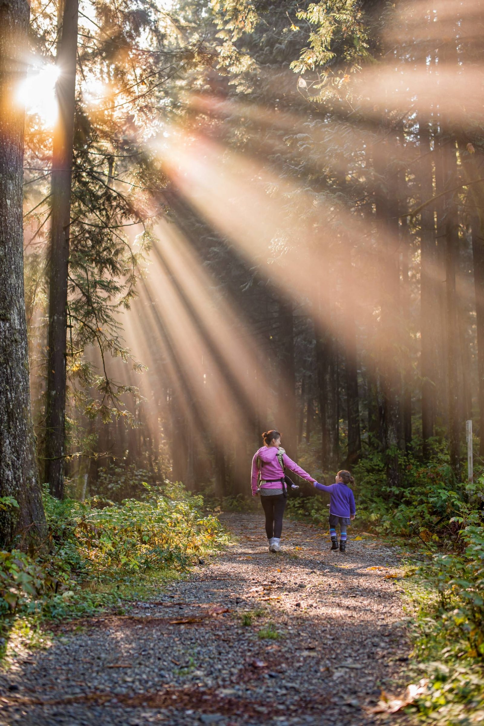 Healthy Habits To Enjoy With Your Children